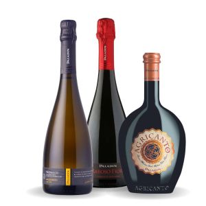 Prosecco Doc Millesimato Extra Dry + Raboso Fiore Dry Bollicine Rosse + Agricanto – Paladin